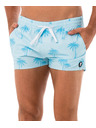 69slam Pánske plavky 69SLAM PALM BLUE