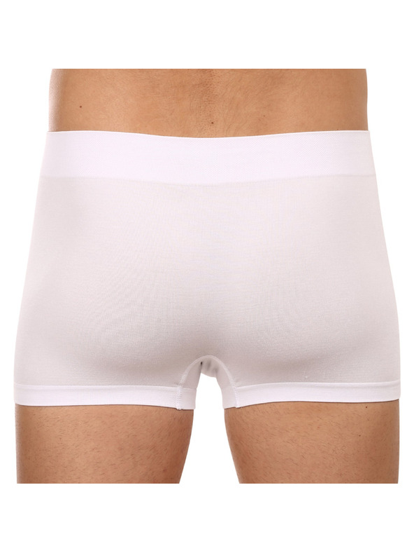 gino Boxerky