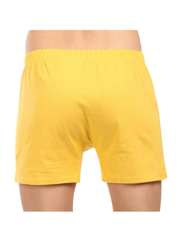 Lee Cooper Trenírky