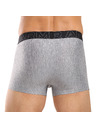 Under Armour Pánske boxerky Under Armour M UA Perf Tech (3ks)
