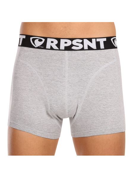 Represent Pánske šortky EXCLUSIVE SPORT GREY Represent