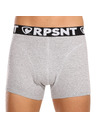 Represent Pánske šortky EXCLUSIVE SPORT GREY Represent
