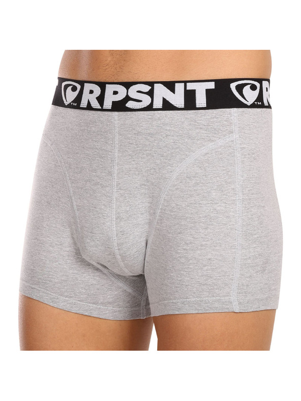 Represent Pánske šortky EXCLUSIVE SPORT GREY Represent