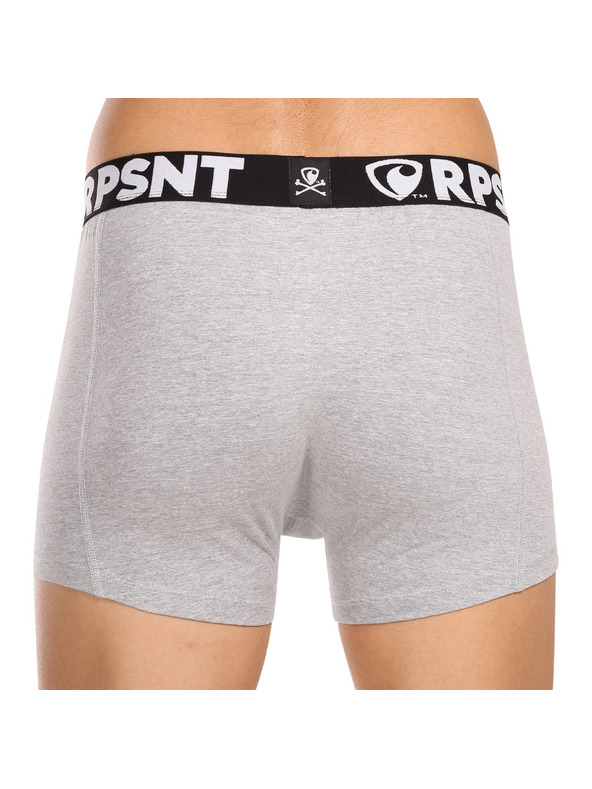 Represent Pánske šortky EXCLUSIVE SPORT GREY Represent