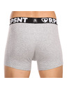 Represent Pánske šortky EXCLUSIVE SPORT GREY Represent
