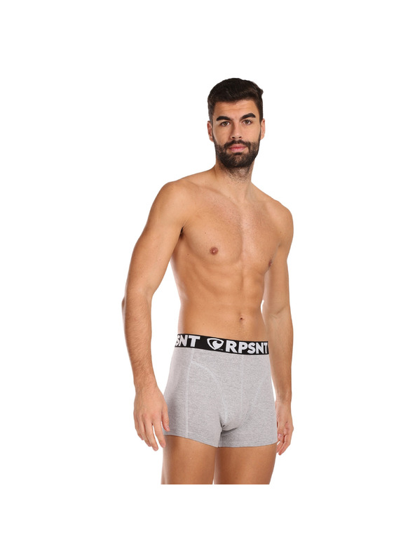 Represent Pánske šortky EXCLUSIVE SPORT GREY Represent