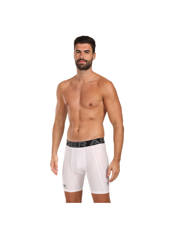 Under Armour Pánske kraťasy Under Armour HG Armour Shorts