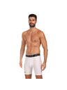 Under Armour Pánske kraťasy Under Armour HG Armour Shorts