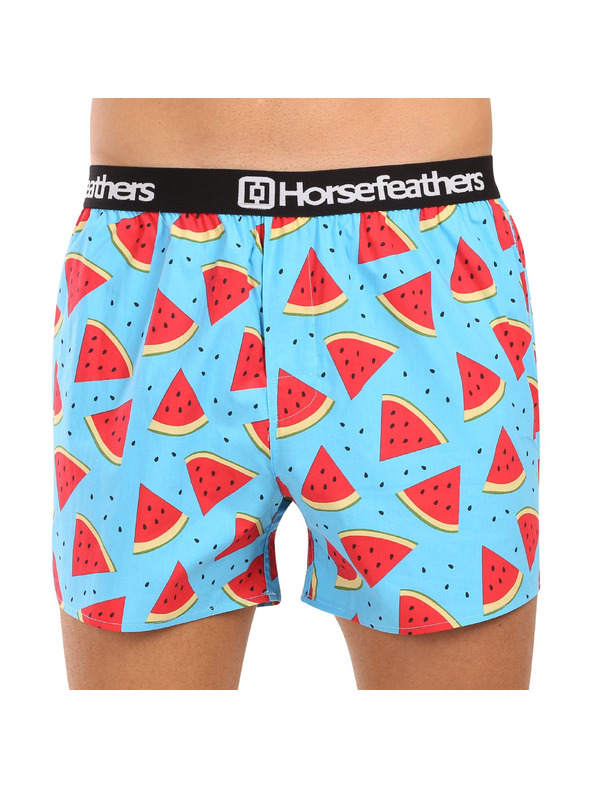 Horsefeathers Boxerky Frazier 5Pack - bundle 2