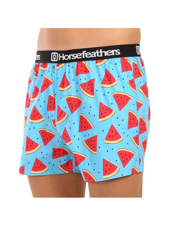 Horsefeathers Boxerky Frazier 5Pack - bundle 2