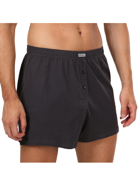 andrie Pánske trenky Andrie sivé (PS 5877/grey)