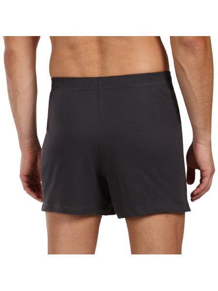 andrie Pánske trenky Andrie sivé (PS 5877/grey)