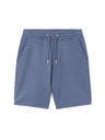 Celio Kraťasy Loshort2