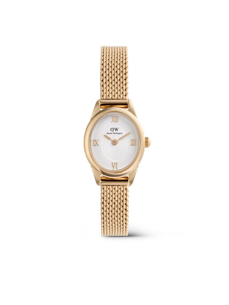 Daniel Wellington Dámske hodinky Daniel Wellington Ophelia Mini mesh oválne DW00100940
