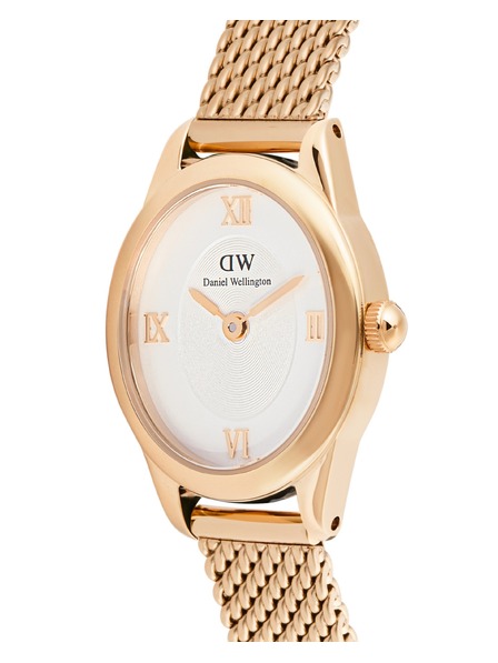 Daniel Wellington Dámske hodinky Daniel Wellington Ophelia Mini mesh oválne DW00100940