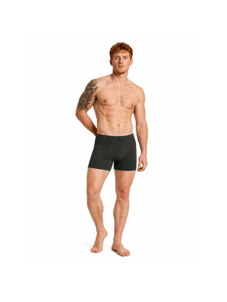VoXX Pánske boxerky VoXX MERINOWOOL zelené